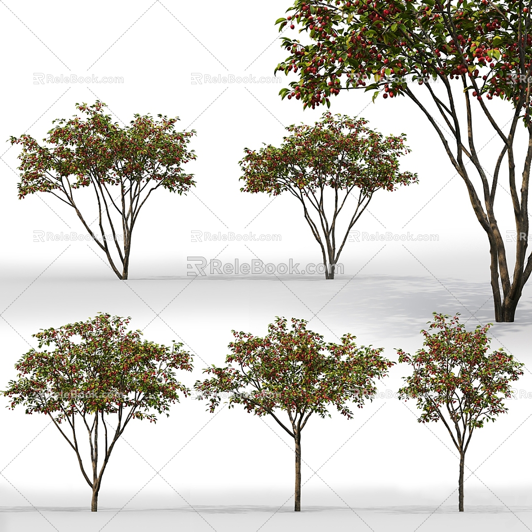 Trees Trees Forest Plants Green Planting Forest model