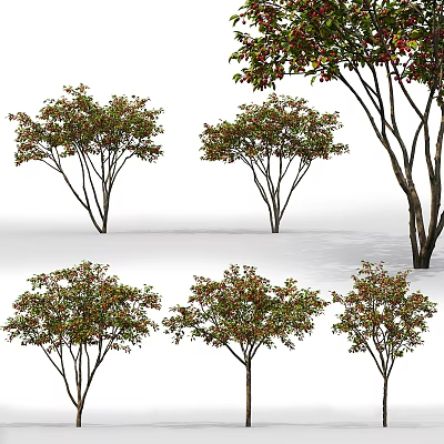 Various Arbor Trees With Green And Red Leaves And Diverse Branch Structures 3d model