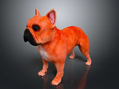 Orange French Bulldog 3D Model Standing On Dark Reflective Surface 3d model