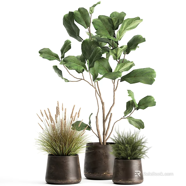 Large Green Leaf Potted Plant With Small Herb Pots And Natural Stems 3d model 