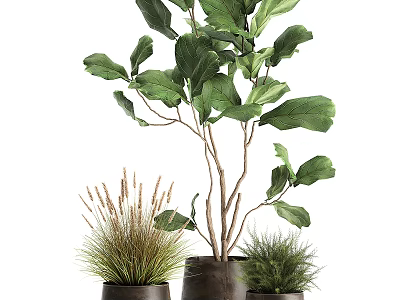 Large Green Leaf Potted Plant With Small Herb Pots And Natural Stems 3d model