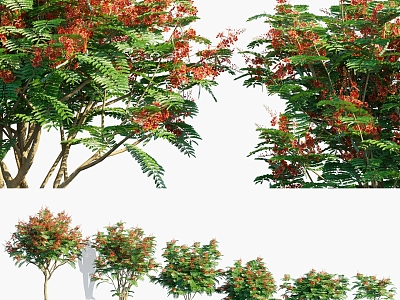 Modern Yang Jinfeng Shrub Plants 3d model