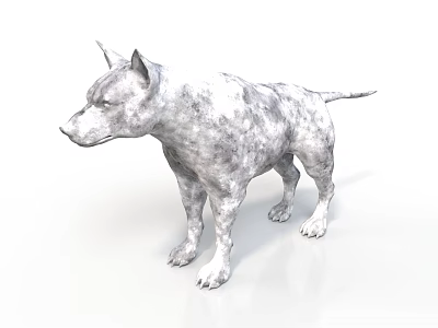Gray and white spotted dog standing in upright posture on white background 3d model