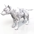 Gray and white spotted dog standing in upright posture on white background