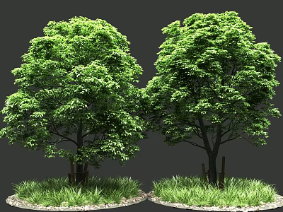 Two Lush Green Trees with Grass and Pebbles on Gray Background 3d model