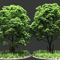 Two Lush Green Trees with Grass and Pebbles on Gray Background
