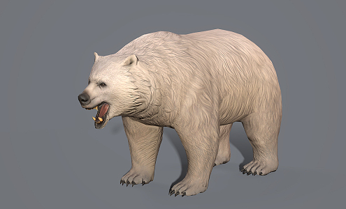 Modern polar bear 3d model