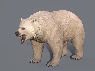 Modern polar bear 3d model