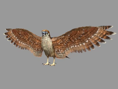Majestic Eagle Spreading Wings With Brown Spotted Feathers Blue Eyes Yellow Talons And Gray Background 3d model