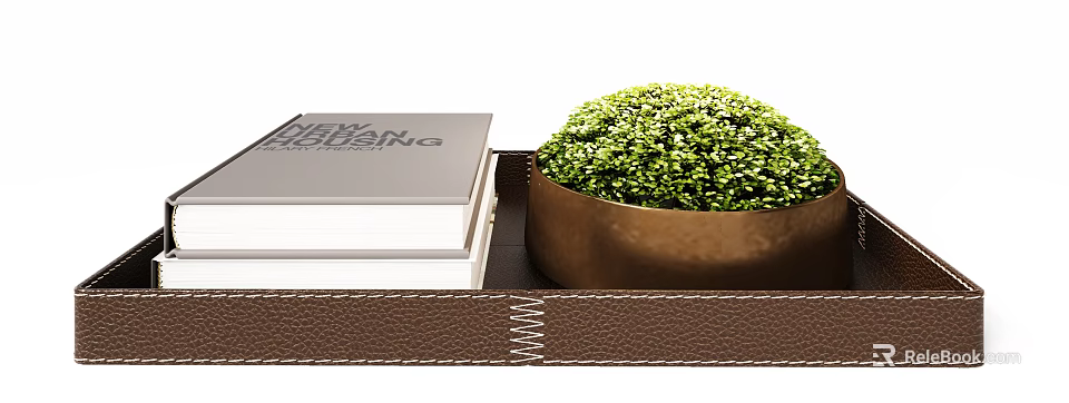 Stylish Decorative Ornament Set with Leather Tray Books Golden Bowl and Green Plant 3d model 