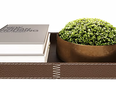 Stylish Decorative Ornament Set with Leather Tray Books Golden Bowl and Green Plant 3d model
