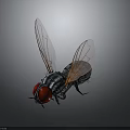 Detailed Macro View of Fly with Red Eyes Transparent Wings and Black Striped Body