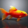 Orange Red Goldfish Featuring Shiny Scales Yellow Fins And Tail On Dark Background