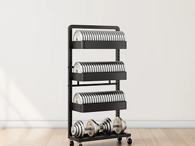 Dumbbell Rack With Dumbbells In Bright Indoor Space 3d model