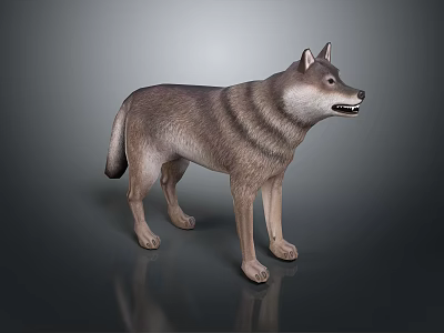 Game Movie Character 3D Wolf Model Standing Pose With Striped Fur Open Mouth 3d model