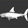 Realistic Gray Shark 3D Model With Sharp Teeth And Dark Background Reflection