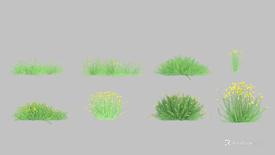 Collection of Diverse Green Shrubs in Various Forms With Yellow Flowers 3d model 