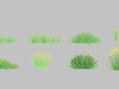 Collection of Diverse Green Shrubs in Various Forms With Yellow Flowers 3d model