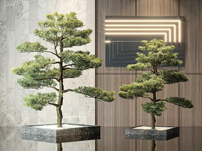 Decorative Pine Trees in Modern Indoor Setting With Marble Bases And Wooden Wall Lighting 3d model