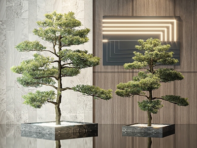 Trees model