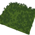 Lush Arbor Forest With Dense Green Foliage And Natural Scenic View