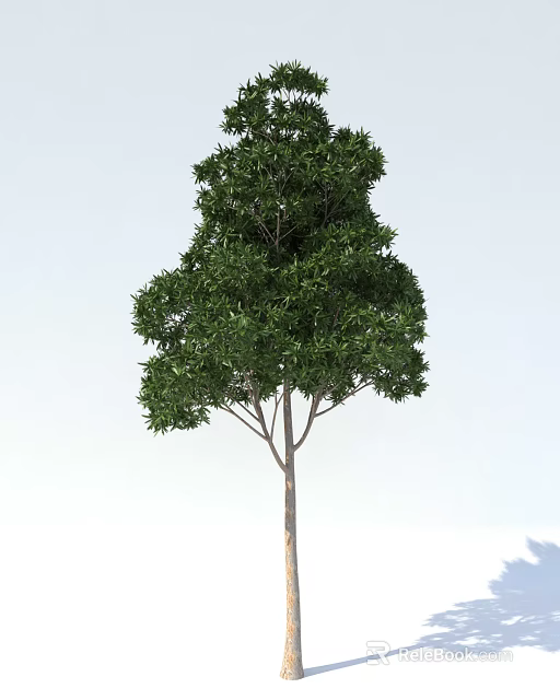 Lush Green Arbor with Dense Foliage and Sturdy Trunk on White Background 3d model