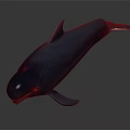 Sleek Dark Blue Dolphin With Smooth Skin Swimming In Deep Ocean Water