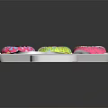Colorful Donuts With Various Icing Colors And Sprinkles On Transparent Tray