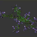 Tall Green Plant With Fresh Purple Small Flowers On Gray Background
