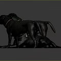 Black Dogs With Red Glowing Eyes In Various Poses On Gray Background