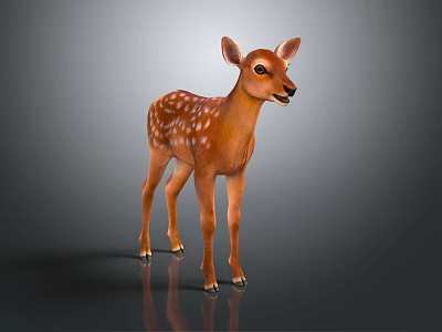 Cute Brown Fawn With White Spots Standing On Reflective Gray Background 3d model