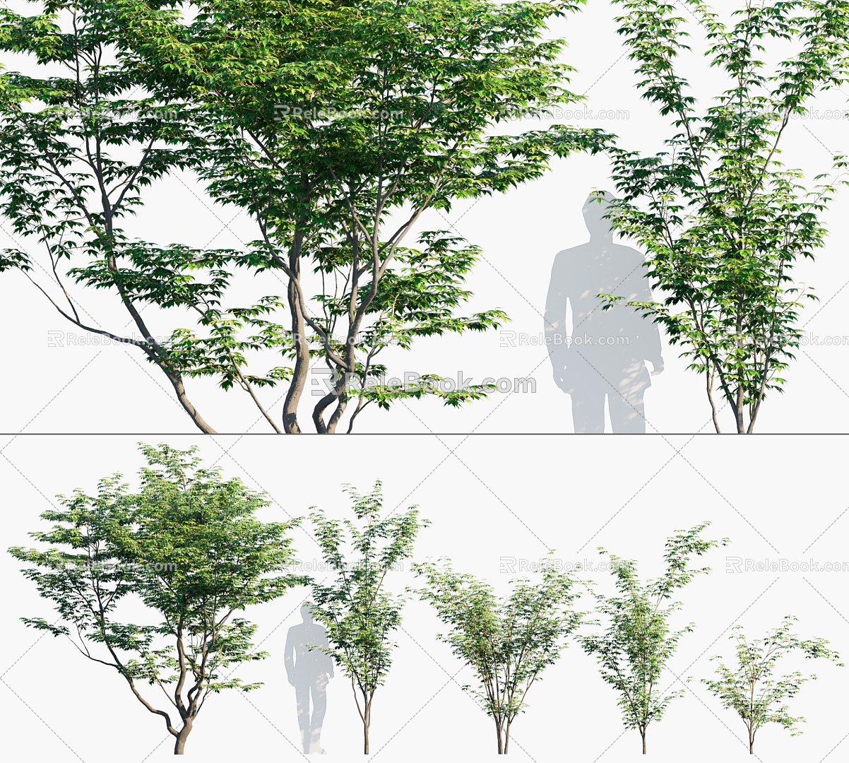 Modern Tree Acer Tree Landscape Tree 3d model