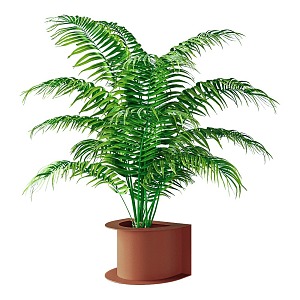 plant potted plant green plant 3d model