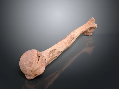 Terracotta Long Shaped Garden Ornament with Textured Surface and Holes on Dark Reflective Background 3d model