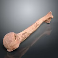 Terracotta Long Shaped Garden Ornament with Textured Surface and Holes on Dark Reflective Background