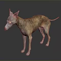3D Model of Italian Greyhound Dog Standing on Shiny Floor with Dark Background