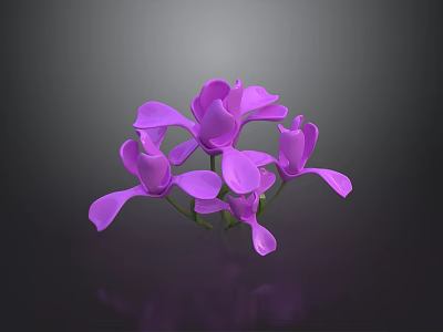 Vibrant Purple Orchid Flowers With Delicate Petals On Dark Background 3d model