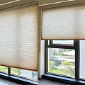 Beige Modern Roller Curtains For Window With Urban City View And Greenery