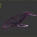 Realistic 3D Rendered Blue Whale Marine Animal With Detailed Fins Tail And Gray Gradient Background