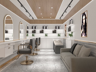 Light Luxury Hair Shop 3d model