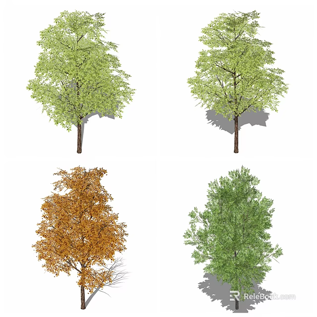 Diverse Arbor Specimens Featuring Green Orange Leaves And Unique Crown Structures 3d model