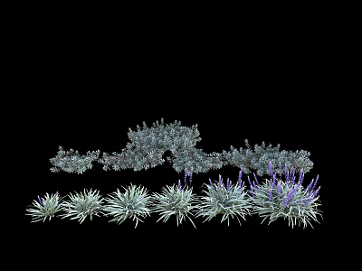 Artistically Arranged Various Shaped Shrubs With Purple Tips Against Black Background 3d model