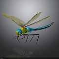 Colorful Dragonfly With Green Blue Body And Transparent Wings On Dark Background With Reflection