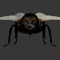 3D Rendered Bee Model With Detailed Wings And Yellow Black Striped Body