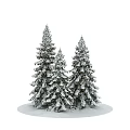 Three Snow Covered Evergreen Trees Standing Tall Against Dark Winter Background 3d model