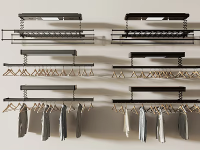 Stylish Metal Multi Row Wall Mounted Clothes Hangers Holding Various Garments 3d model