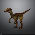 Realistic Velociraptor Dinosaur With Red Brown Yellow Skin Standing Pose And Detailed Texture