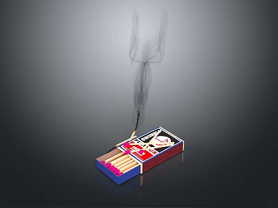 Matches Ignition Matches Life Supplies 3d model