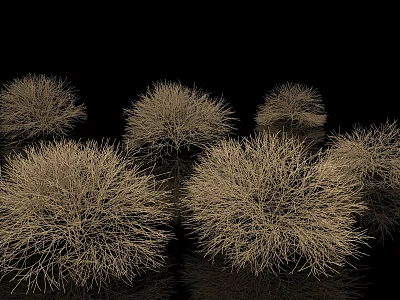 Cluster of Dry Bushes Featuring Natural Branch Texture on Black Background 3d model