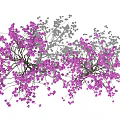Detailed Flowering Magnolia Tree With Intricate Branch Petal And Structure Design